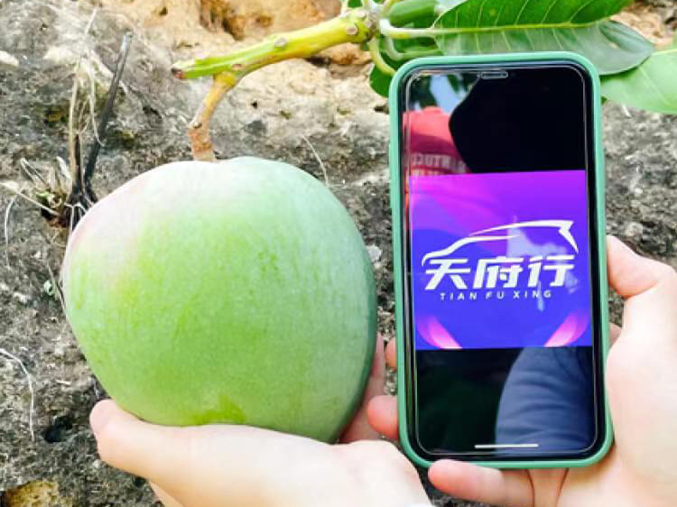 创新推动路路客运迈上新台阶