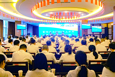 瓦力游戏运业召开2023年上半年工作总结暨干部述职会